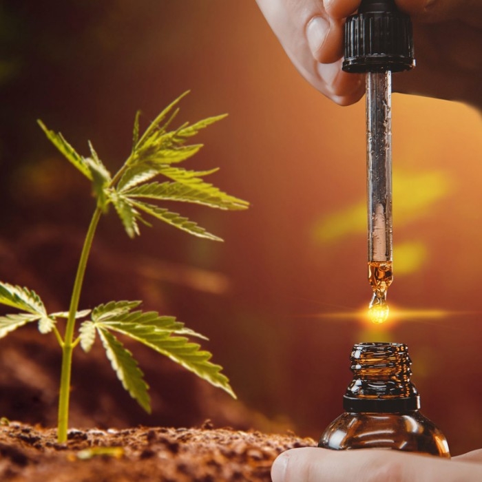 FullSpectrum Cannabis Extracts More Medically Effective than CBD Alone MCDSA